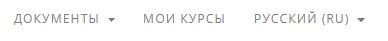 бирск дистанционное обучение вход в сдо
